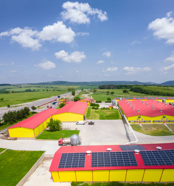 T35 az ipari- és mezőgazdasági szektorban