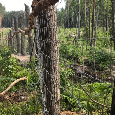 Vadhálók: Hatékony védelem és sokoldalú felhasználás 