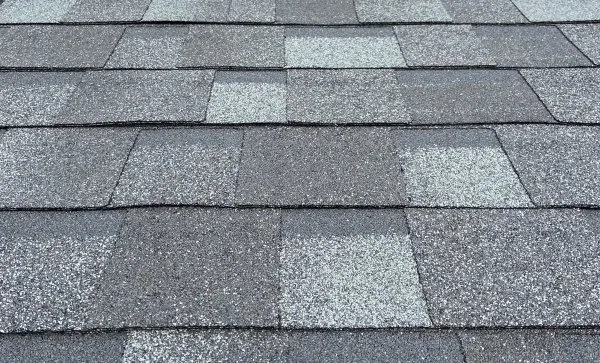 Cambridge Xpress/Cambridge Xtreme 9,5° zsindely