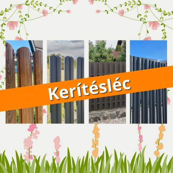 Ingyenes kiszállítás